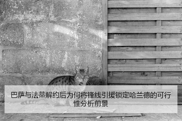ba-sa-yu-fa-di-jie-yue-hou-wei-he-jiang-feng-xian-yin-yuan-suo-ding-ha-lan-de-de-ke-xing-xing-fen-xi-qian-jing-2-361.jpg