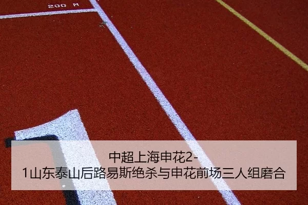 中超上海申花2-1山东泰山后路易斯绝杀与申花前场三人组磨合