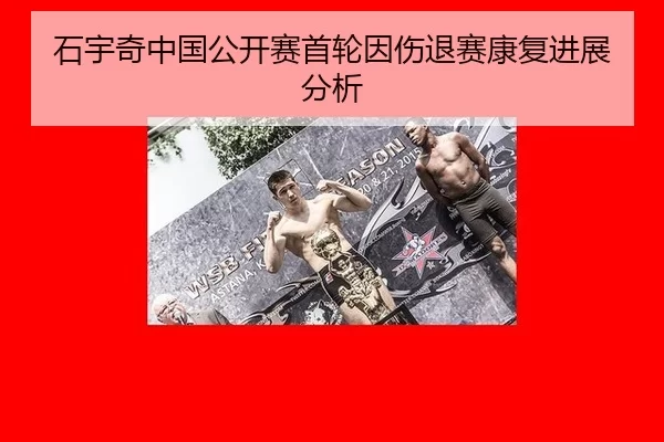 shi-yu-qi-zhong-guo-gong-kai-sai-shou-lun-yin-shang-tui-sai-kang-fu-jin-zhan-fen-xi-3-396.jpg